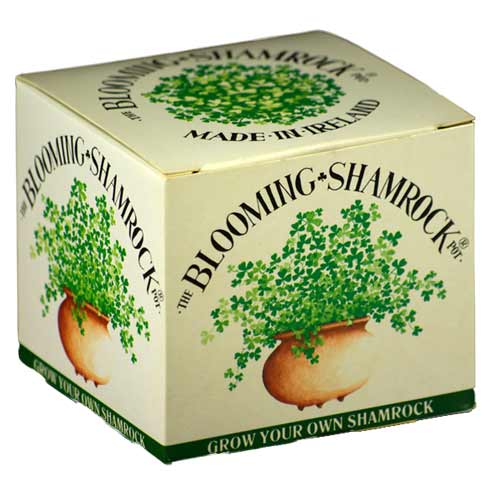 (image for) Grow Your Own Irish Shamrock Gift Set